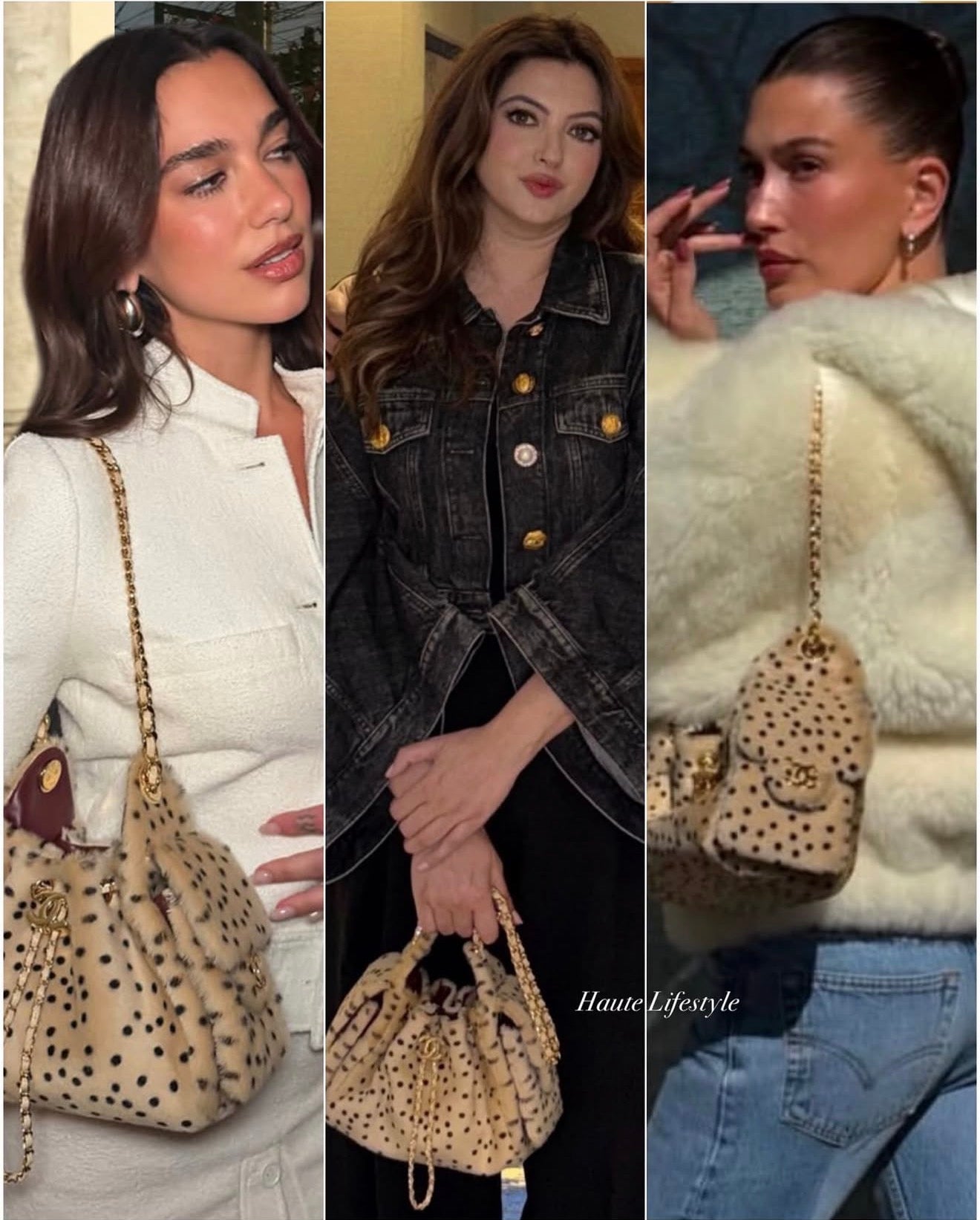 Coach Chanel Hobo 25 Mini | Cheetah Print 2026 Collection