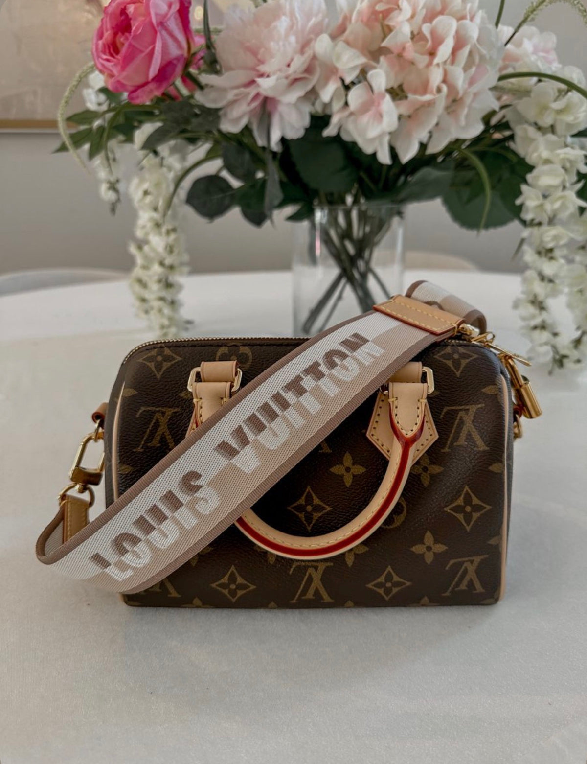 Louis Vuitton Speedy 20 Bag