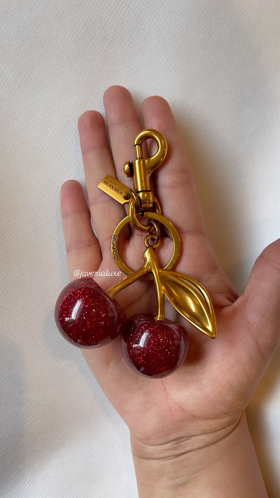 COACH® | Red Cherry Charm in Copper
