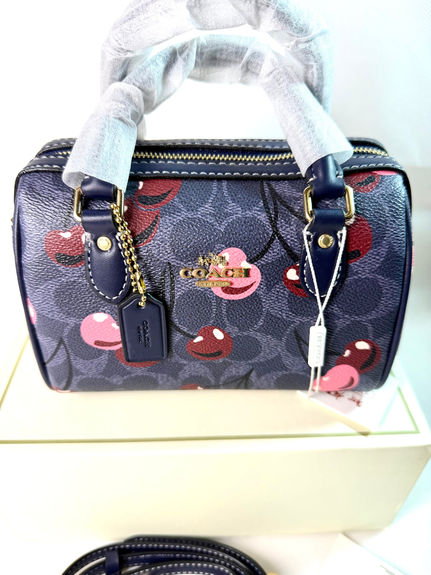 Coach Mini Rowan Crossbody Bag In Signature Canvas with Cherry Print