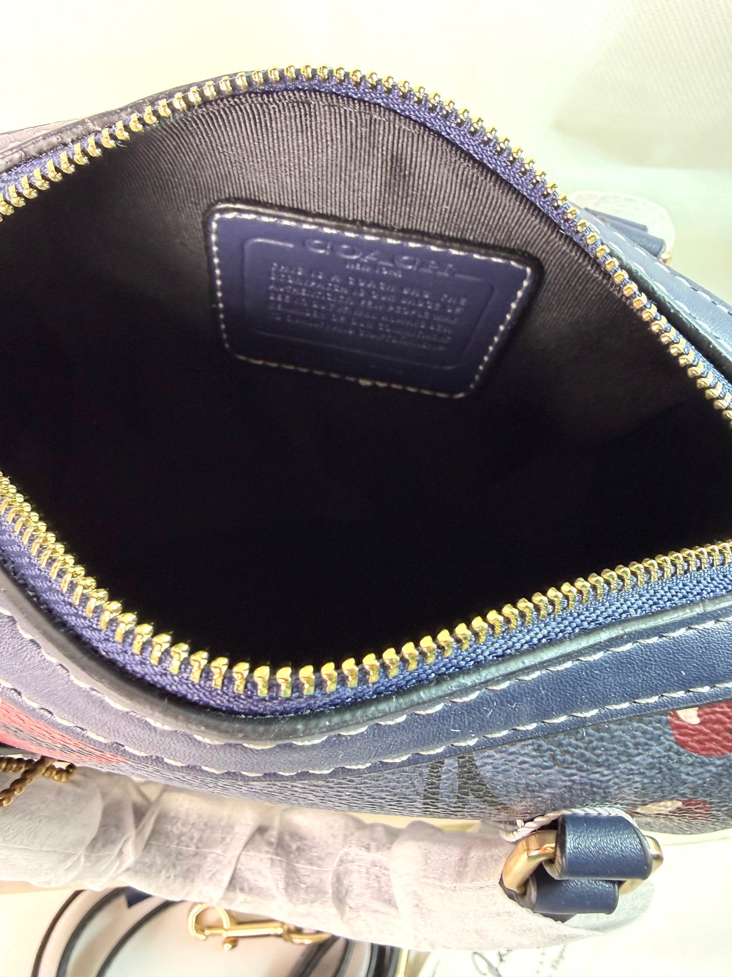 Coach Mini Rowan Crossbody Bag In Signature Canvas with Cherry Print