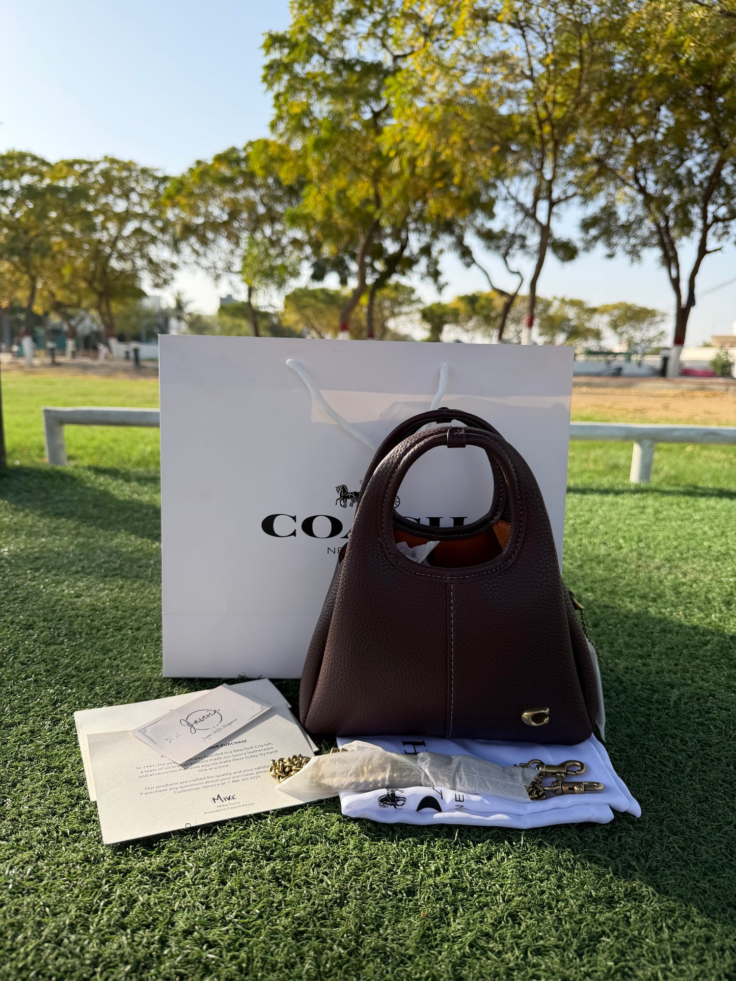 Coach Lana 19 Bag (New) - Maple
