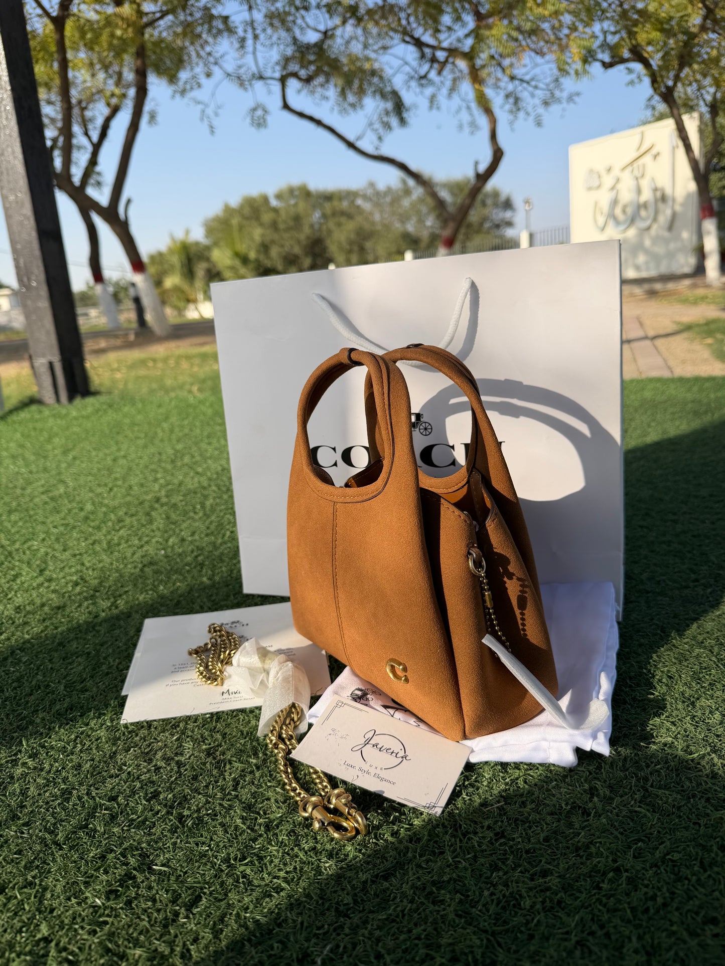 Coach Lana 19 Bag (New) in Suede Brown