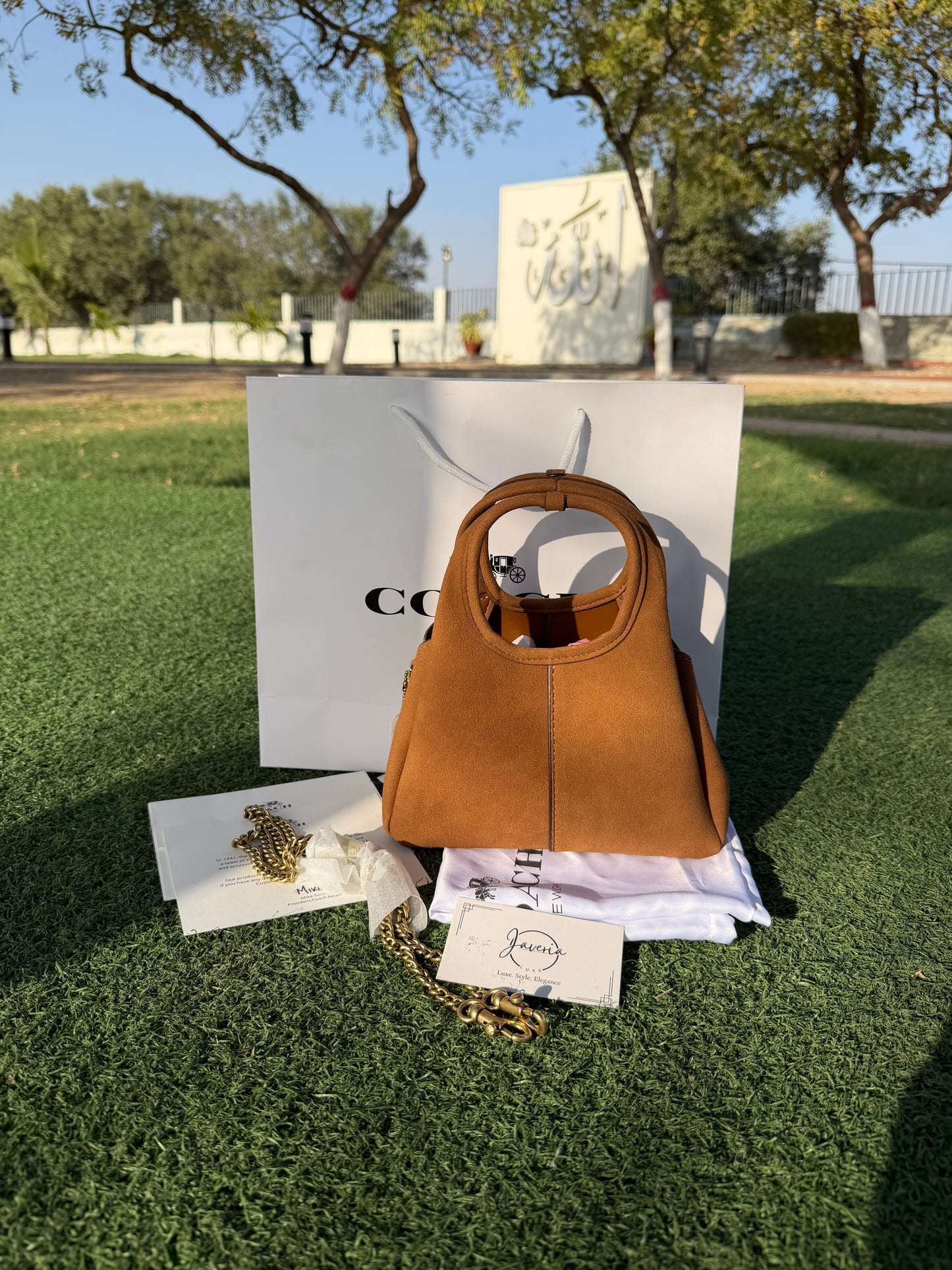 Coach Lana 19 Bag (New) in Suede Brown