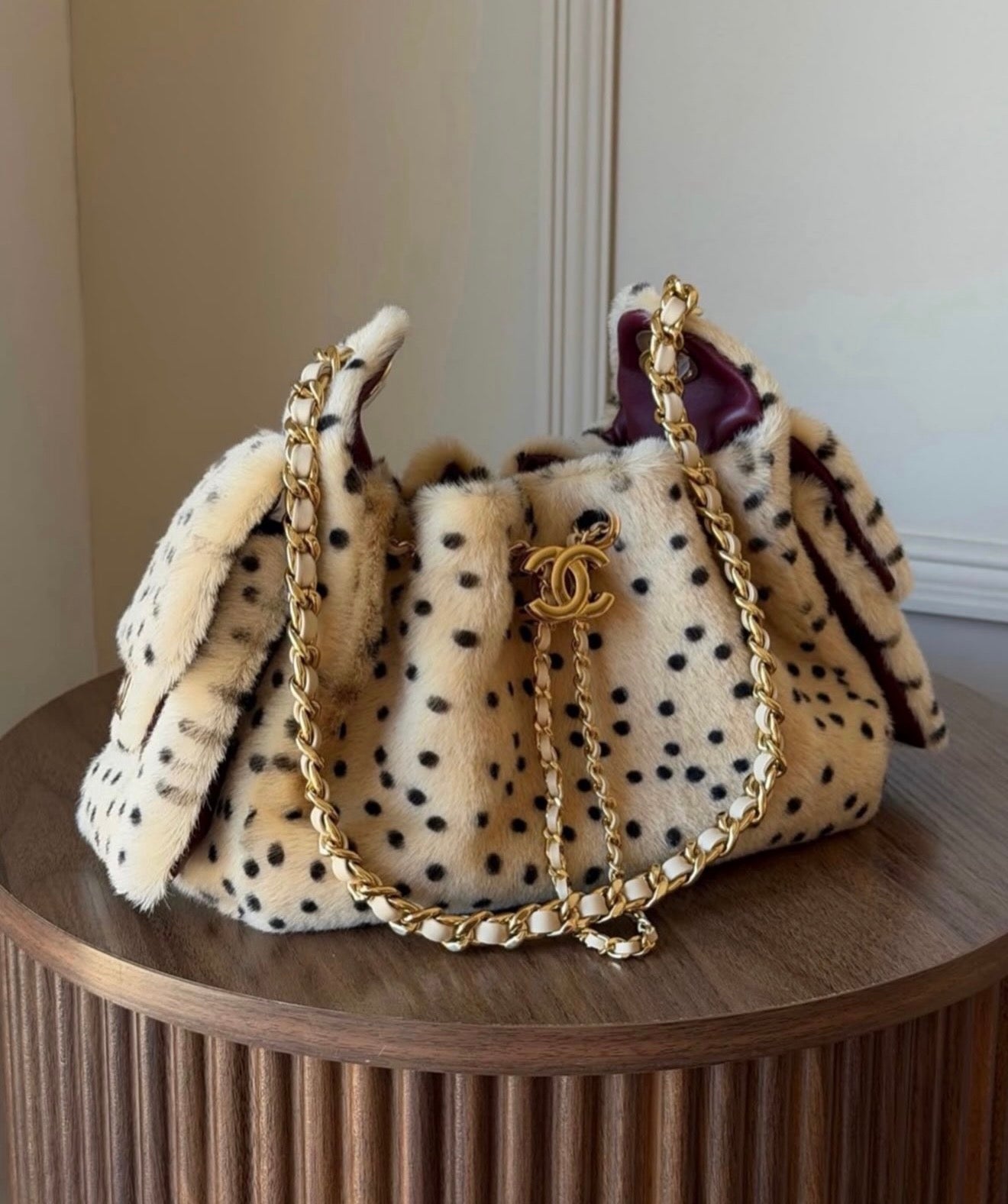 Coach Chanel Hobo 25 Mini | Cheetah Print 2026 Collection