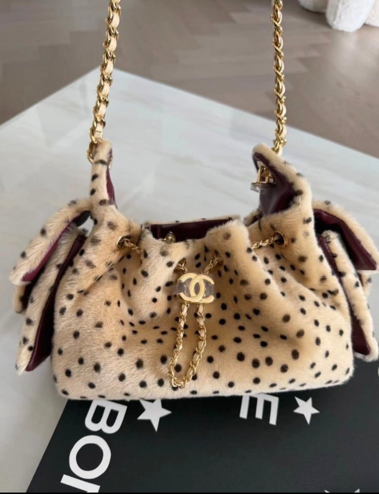 Coach Chanel Hobo 25 Mini | Cheetah Print 2026 Collection