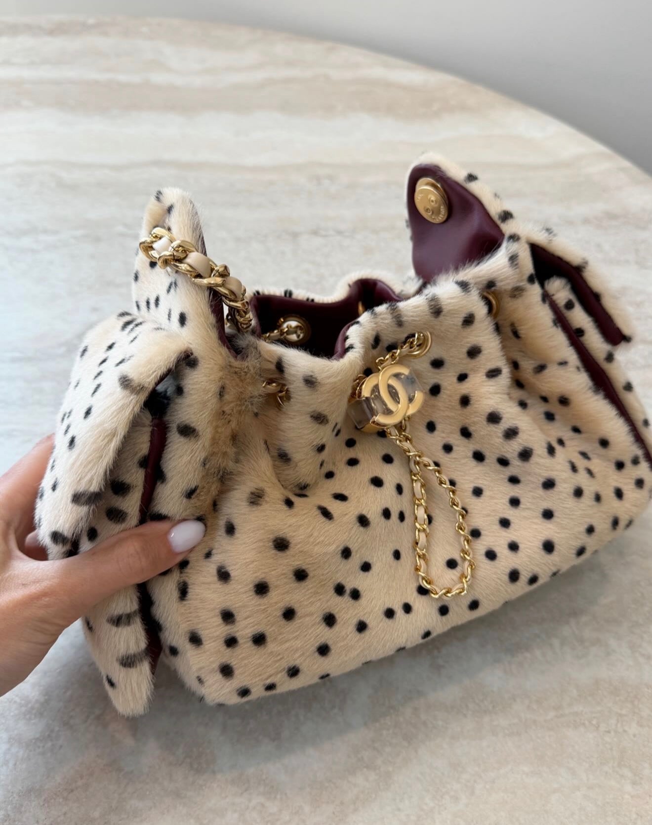 Coach Chanel Hobo 25 Mini | Cheetah Print 2026 Collection