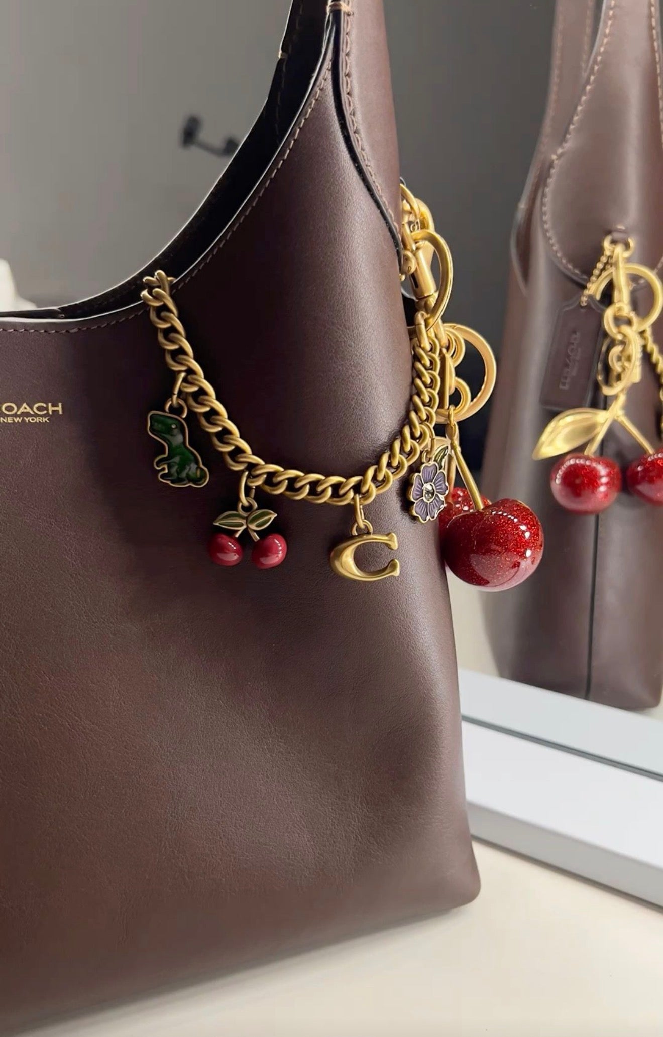 Coach Chain Charm