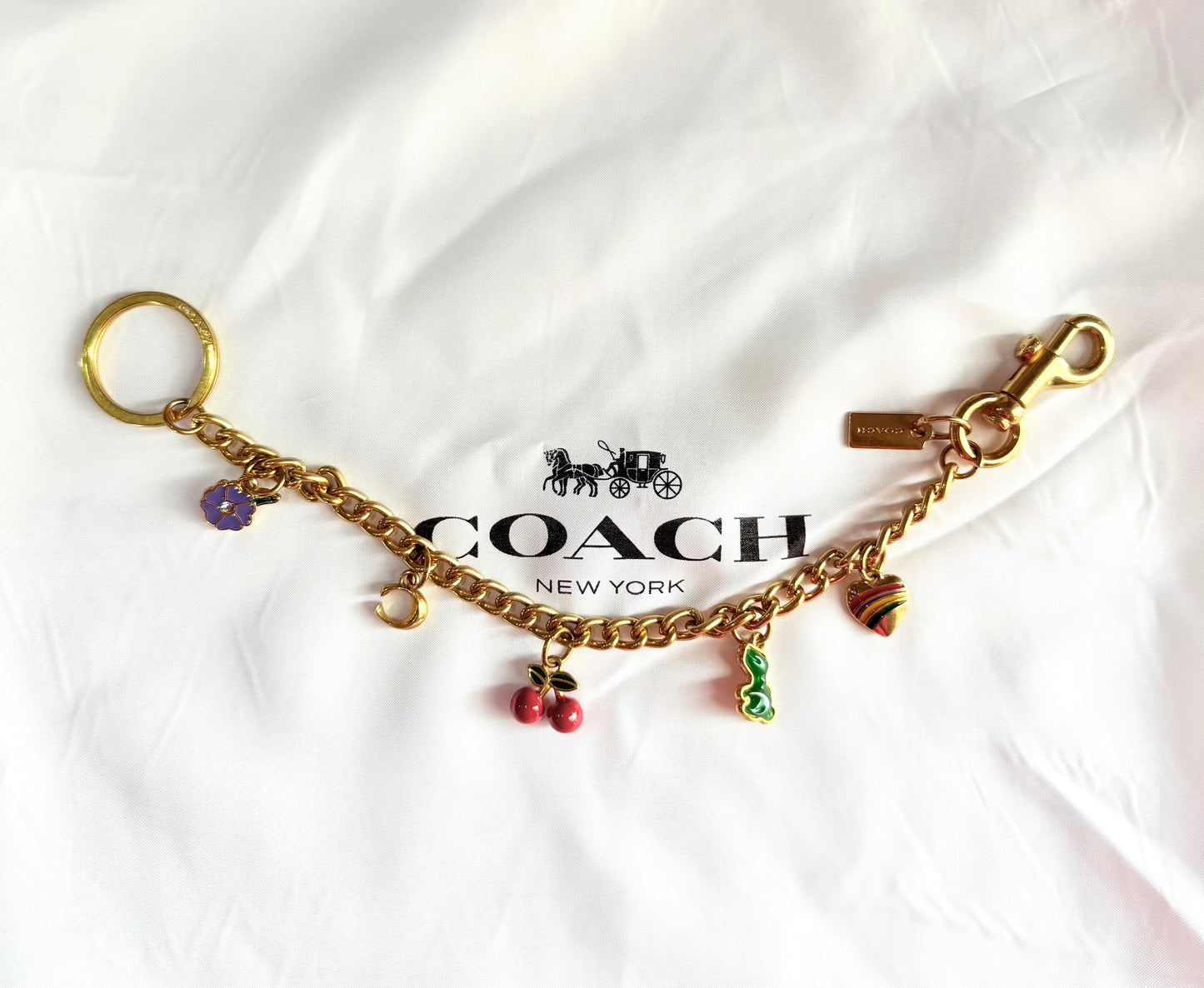Coach Chain Charm