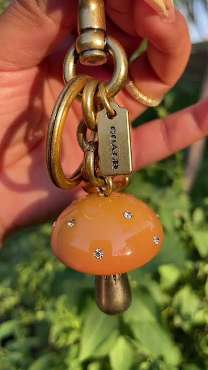 Coach Mushroom Bag Charm