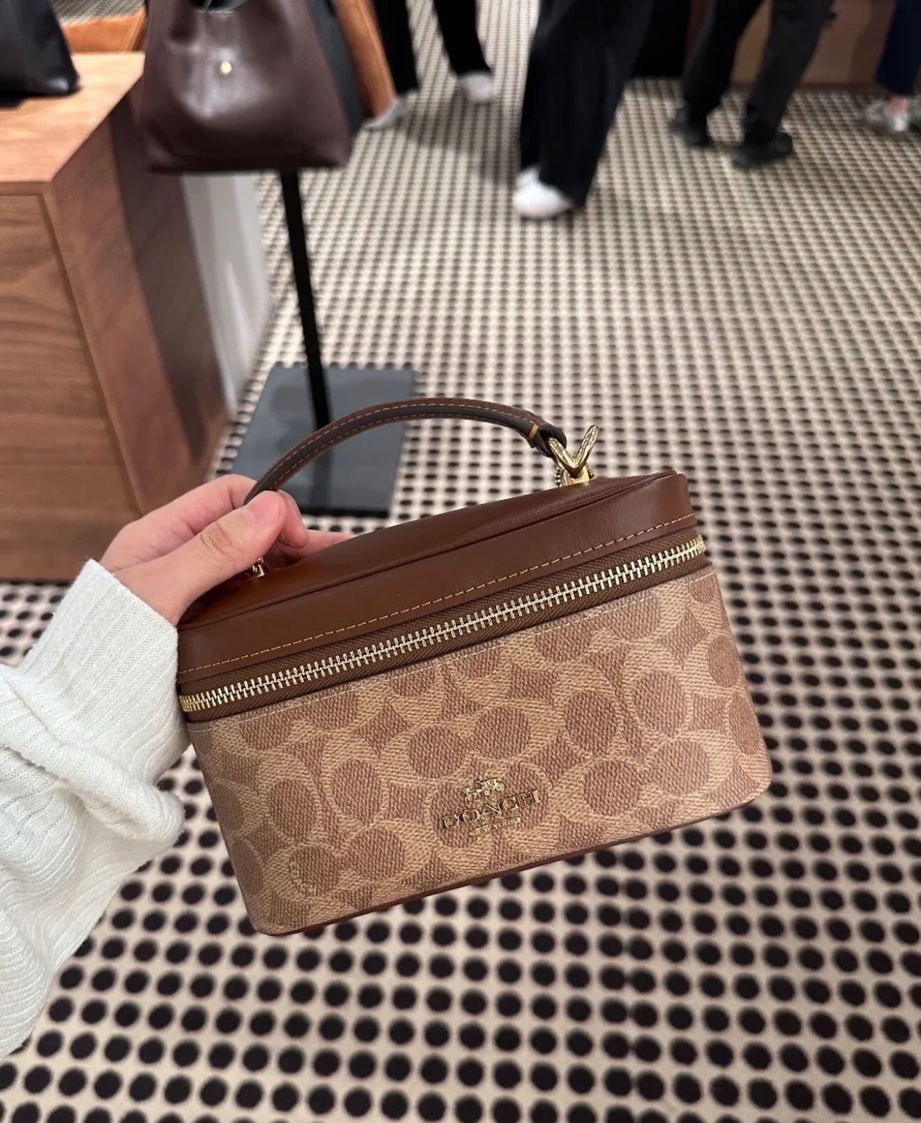 Coach Vanity Bag - Brown