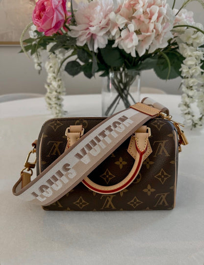 LV Speedy 20 Bag
