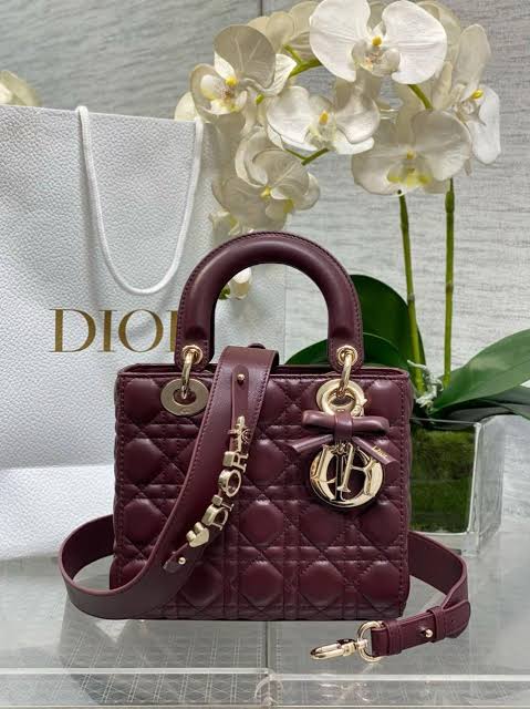 Lady Di*r Medium Bow Bag 2026 Collection