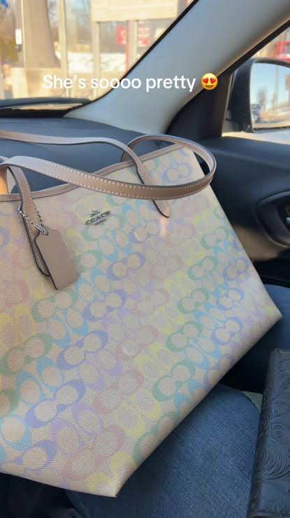 Coach Multicoloured Leather Zip Tote Bag