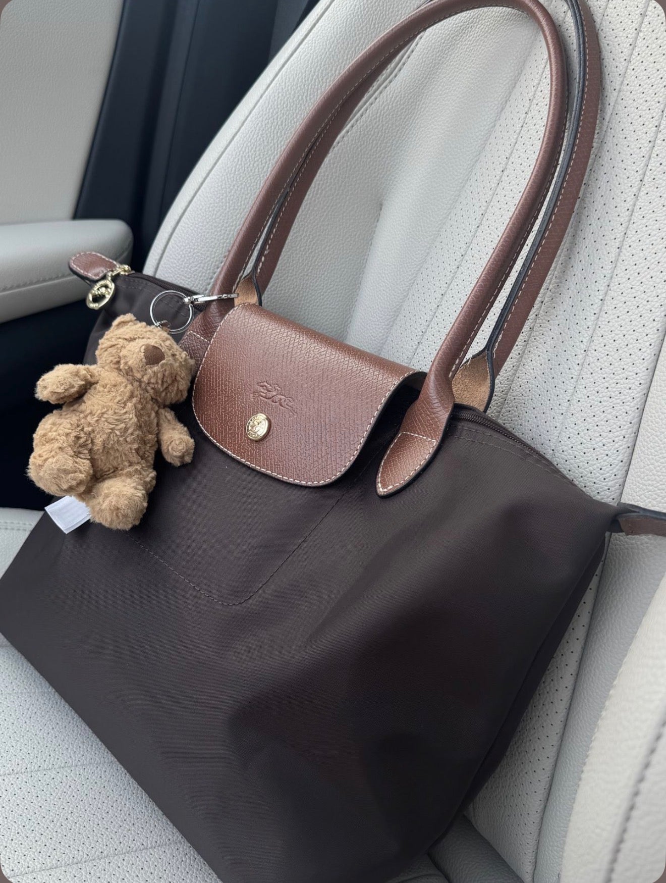 Longchamp  Large Le Pliage tote bag (Dark Brown)