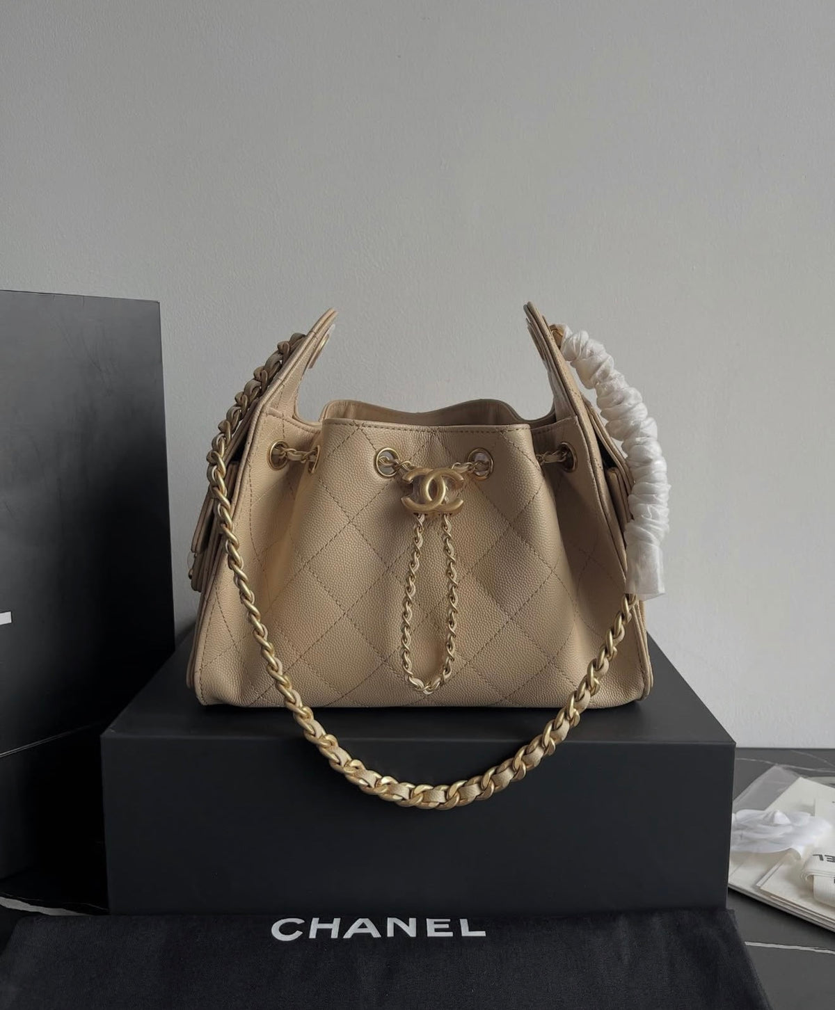 Chanel Hobo 25 Mini with Brand Box Packaging (Genuine Leather) - Beige