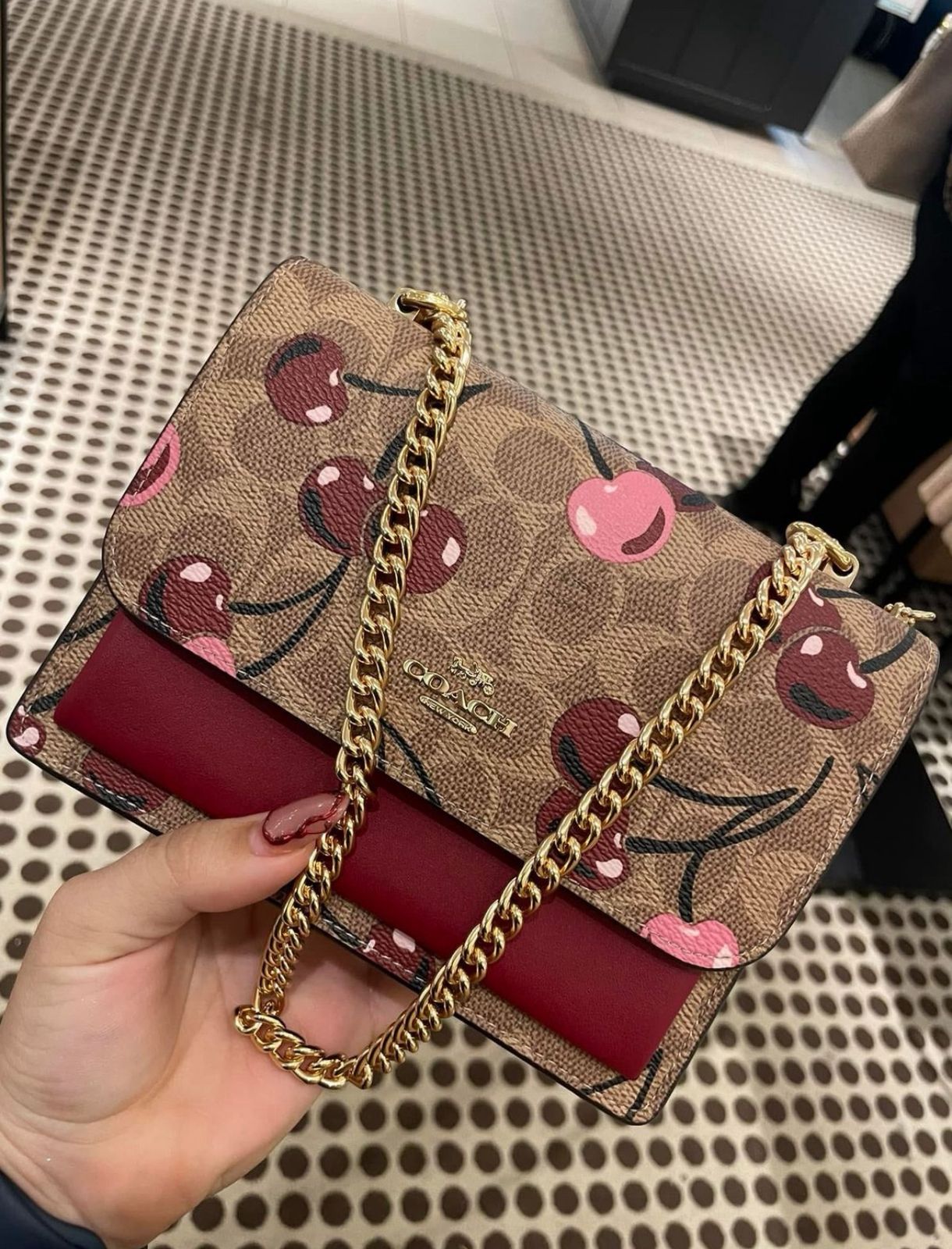 WhatsApp Image 2025-10-07 at 2.26.11 PM