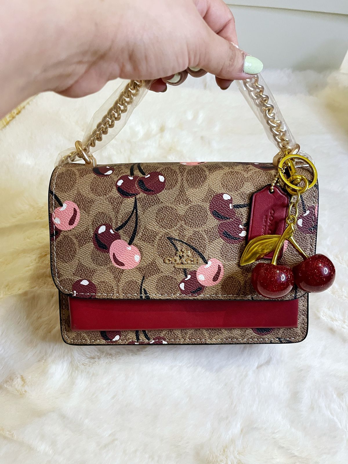 WhatsApp Image 2025-10-07 at 2.26.54 PM