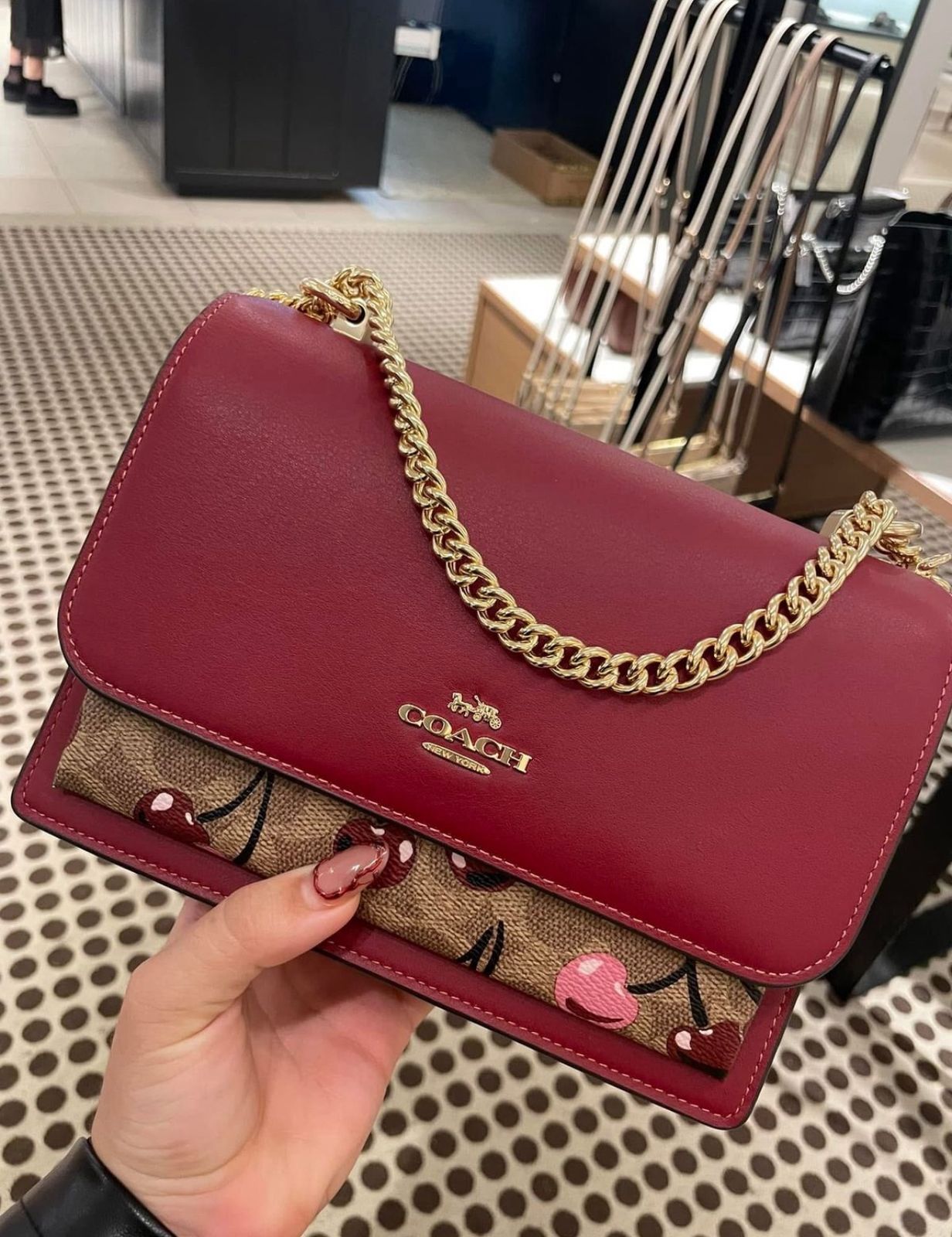 WhatsApp Image 2025-10-07 at 2.31.15 PM