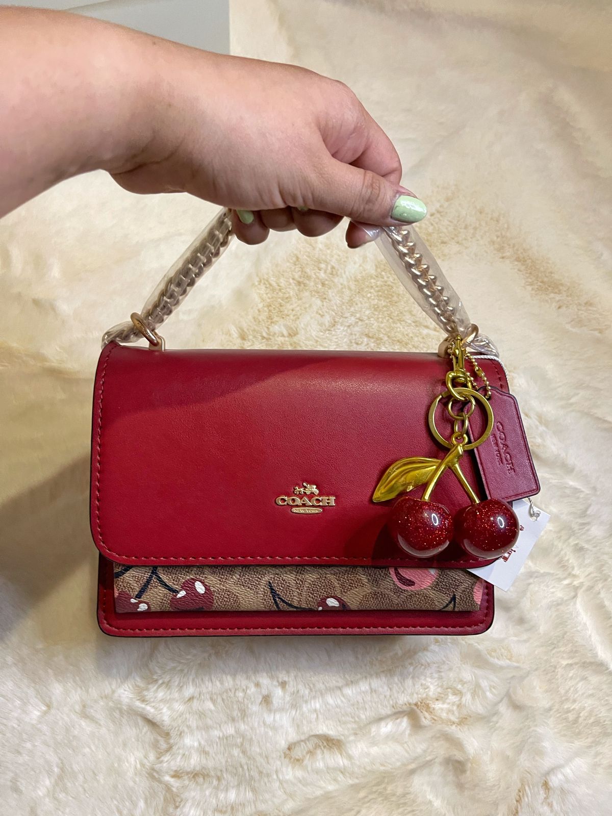 WhatsApp Image 2025-10-07 at 2.31.40 PM