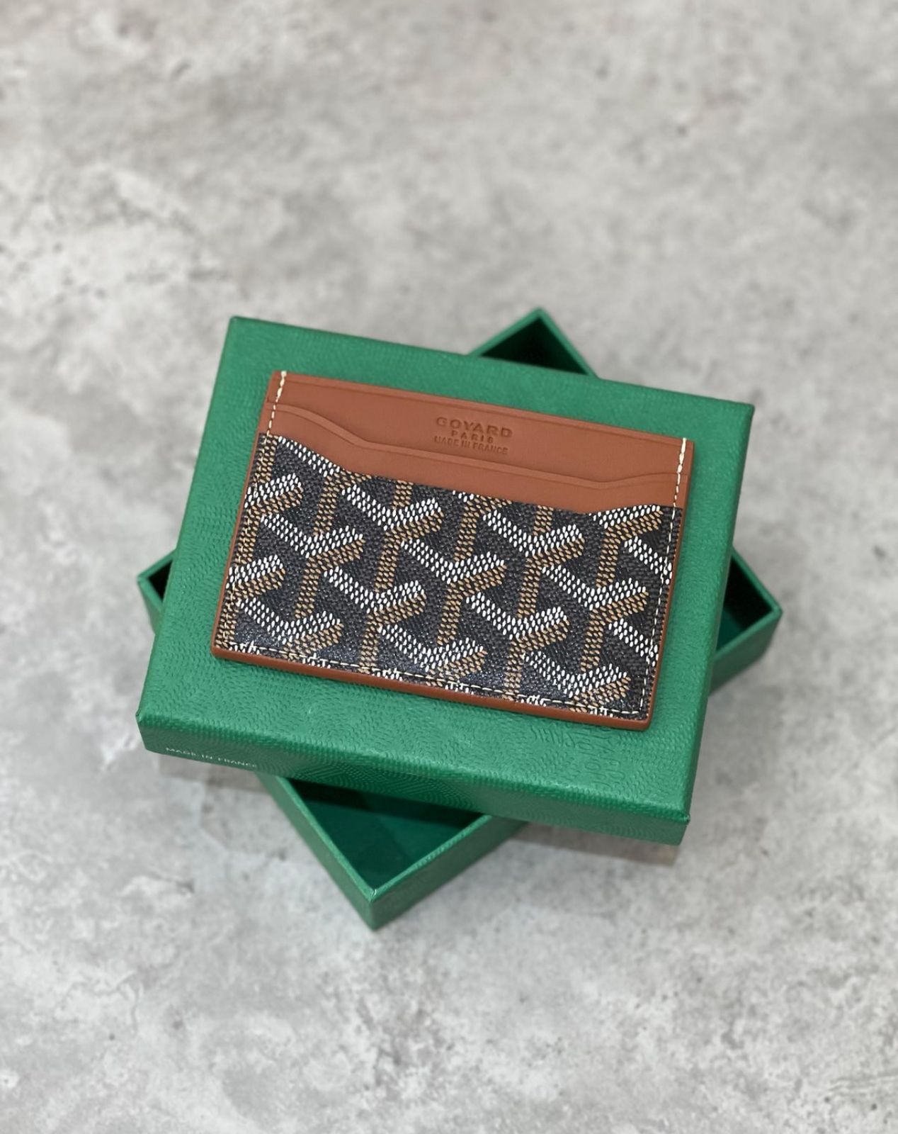 WhatsApp Image 2025-10-08 at 1.55.07 AM (1)