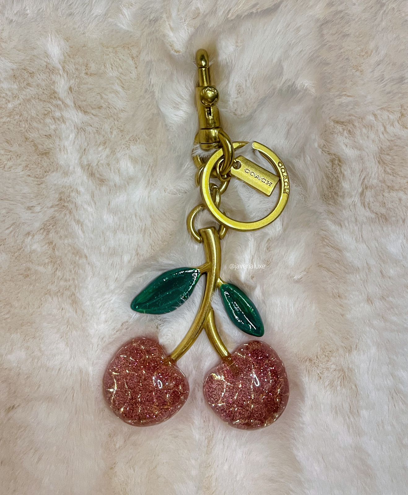 WhatsApp Image 2025-10-08 at 12.43.26 AM